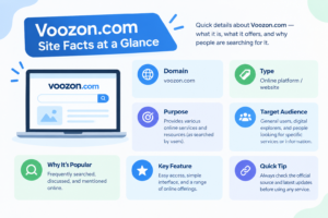 voozon com site facts at a glance